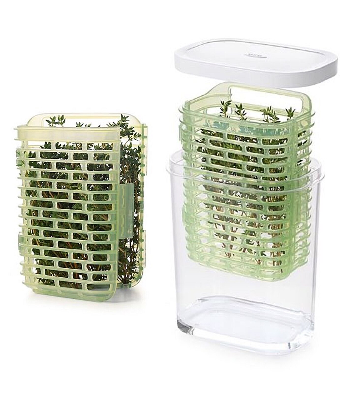 OXO greensaver Herb Keeper