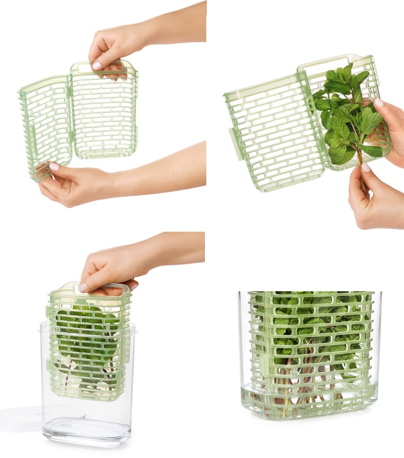 OXO greensaver Herb Keeper